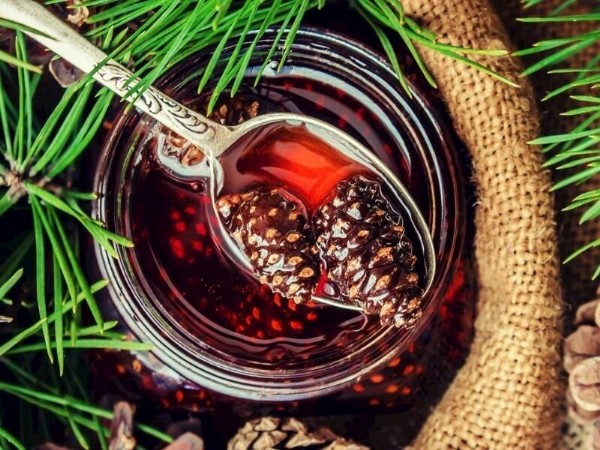 Çam Kozalağı Pekmezi Faydaları Nelerdir? Çam Kozalağı Pekmezi Nasıl Tüketilir?